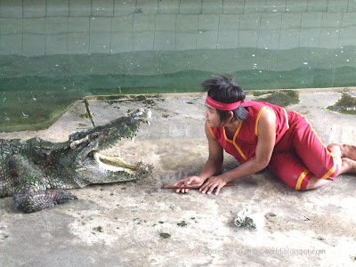 Crocodile wrestlers @ strange world