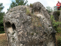 Tombes antropomòrfiques en una roca caiguda de la necròpolis de Cal Pallot