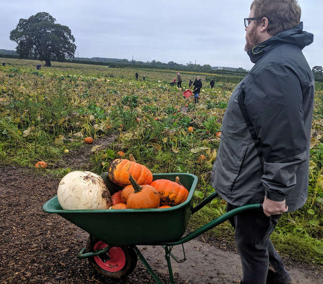 Pick Your Own Pumpkins within a 90 Minute Drive of Newcastle Upon Tyne