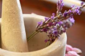 Top 6 Most Benefits of Lavender Tea for Health