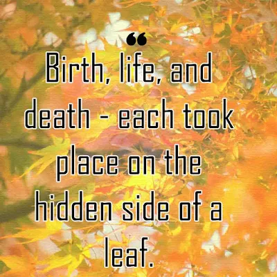 Quotes about Leaf