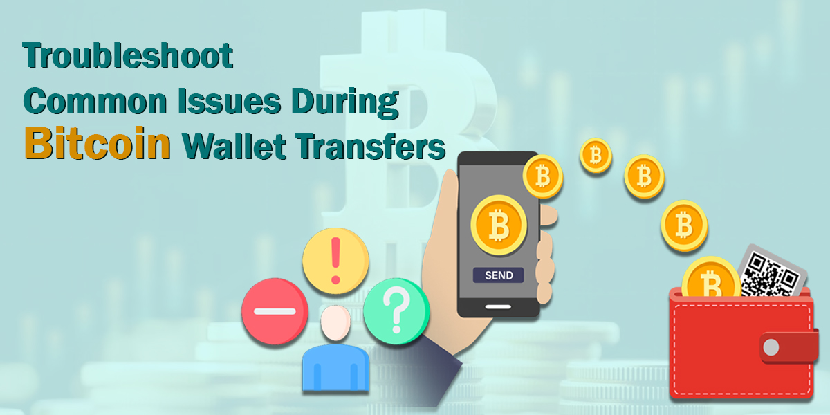 Troubleshoot Common Issues During Bitcoin Wallet Transfers