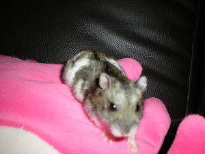 Rainbow Bridge Member-Fuji