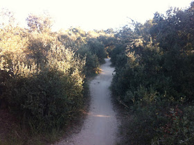 Ruta en bici del Anillo Verde a la Presa de El Pardo, mayo 2012