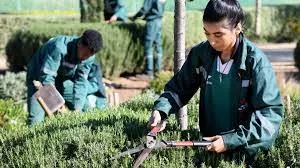 In Morocco, a gardening school combines inclusion and ecology