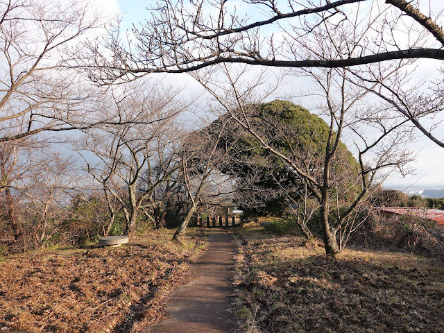 清水展望台(清水公園)