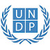 Consultancy Opportunity at UNDP