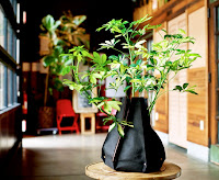 Bag Planters4