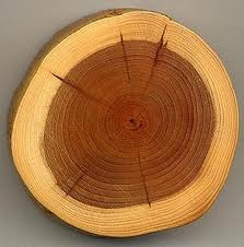 Sliced wood