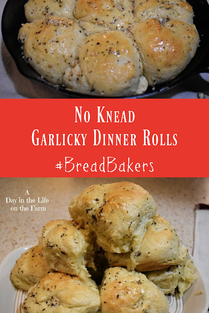 Dinner Rolls Pin