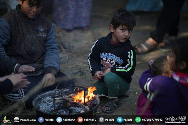 بالصور  أطفال يلعبون خارج منزلهم في بيت لاهيا