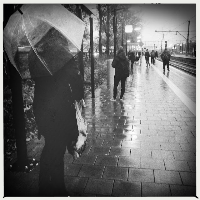 Novemberregen. Hipstamatic: Rudolph + AO BW. Foto: Robert van der Kroft