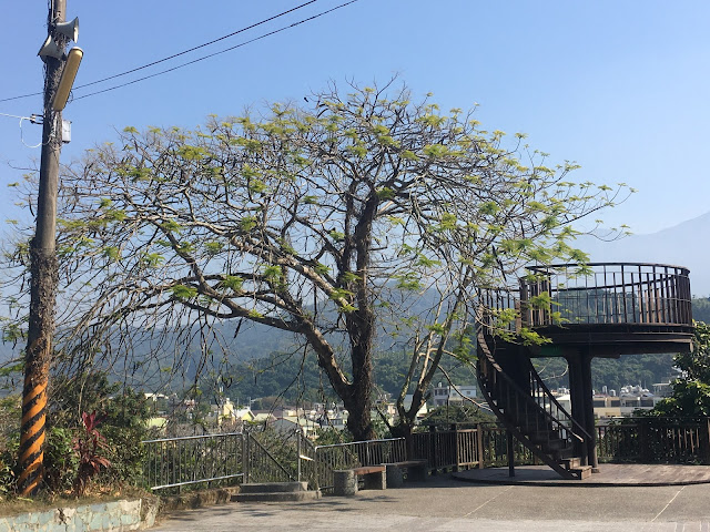 Meishan Park plum blooming in Chiayi, Taiwan