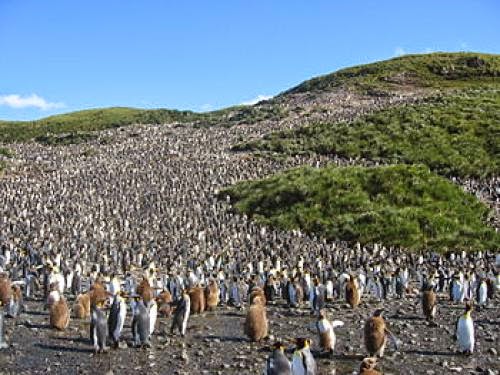 Scanning The Horizon For Future Environmental Challenges