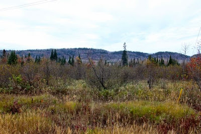 northern Minnesota