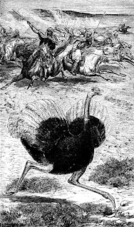 Engraving of Arabian ostrich hunt