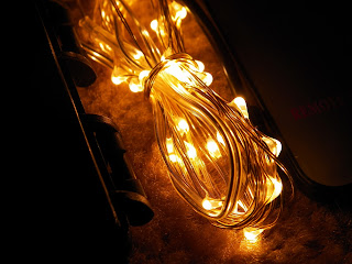 RTGS_30_LED_Micro_String_Lights.jpg