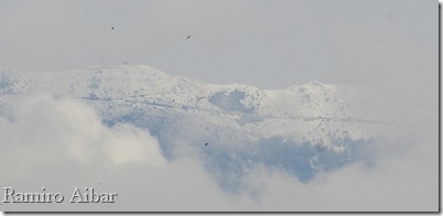 montseny nevat