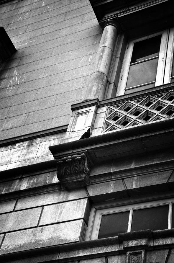 DSC_5502_b&w