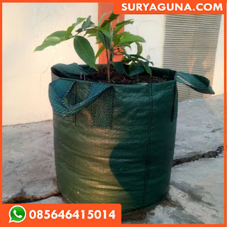 planter bag dari suryaguna 085646415014