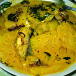 Resepi Ayam Asam Pedas Nyonya