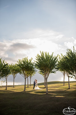 bride and groom kissing in between trees on golf course