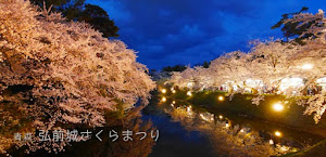 [青森] 弘前公園の桜ライトアップは幻想的！