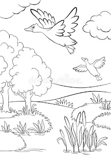 Printable Duck Migration Images And Photo Coloring Pages Animals