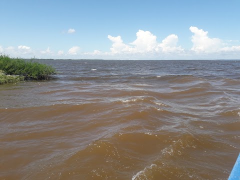 Águas barrentas do rio Amazonas
