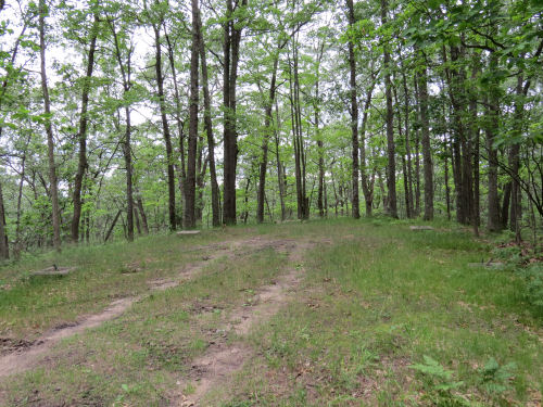 Ward Hills fire tower site