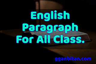 Paragraph writing pdf