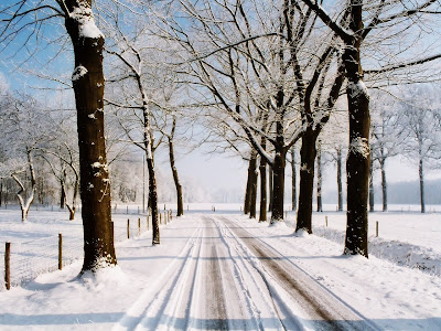 Country Road Winter Wallpaper