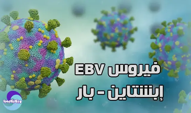 EBV virus