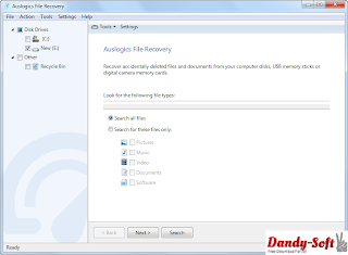 Auslogics File Recovery 4.4.0 Full Version 