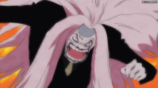 ワンピース アニメ エニエスロビー編 293話 クマドリ | ONE PIECE Episode 293 Enies Lobby