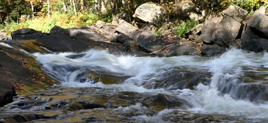 IMG_8354 Oxtonge Rapids