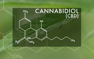 cosè il cbd?