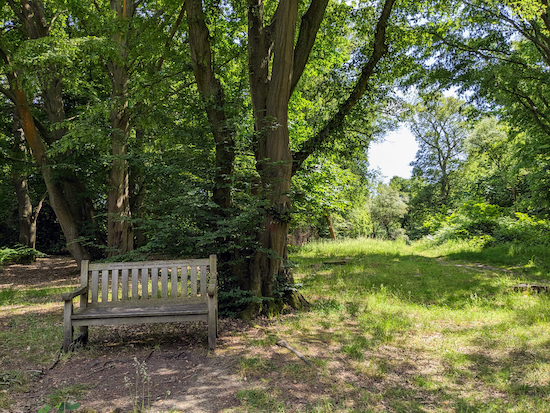 There are a few benches along the red trail