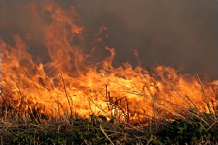 grass fire