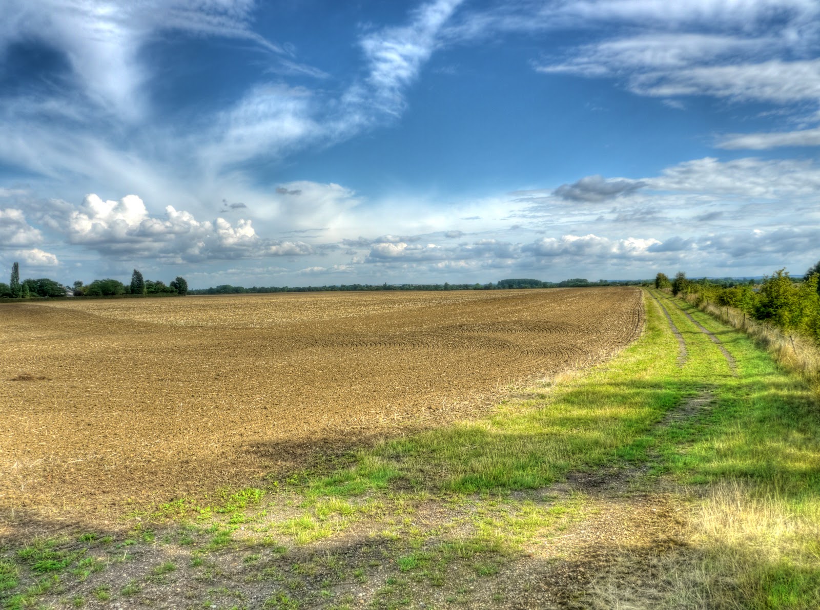 P1150982_76_77_78_79_80_81_tonemapped.jpg