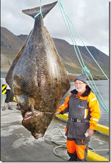 Ikan hasil 
pancingan