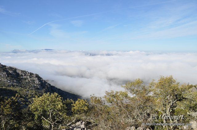 Aljibes restaurados del Algarrobal