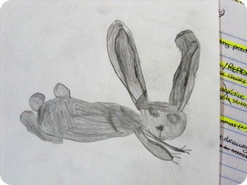 brooke's-bunny