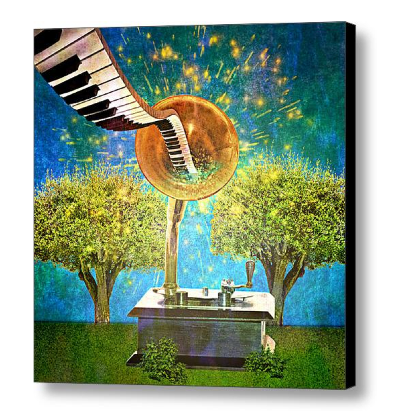 http://fineartamerica.com/products/phonograph-magic-ally-white-canvas-print.html