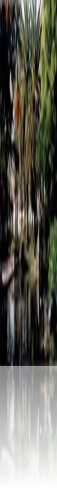 X3H8TCAUVROMOCARA3IV0CAR9HXINCAZ9XB71CAXEBPI8CA65FKOHCAOX59RVCA33RWBLCA8KVY6WCA5TH43BCA5TQ6I7CAWTKENFCA542WU3CA074WQKCAPV02M9CA97DMVPCAC78CKACAV7FP5O