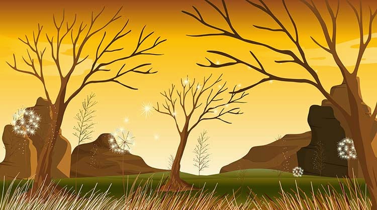 Trees without leaves at the forest Center Vector Premium 