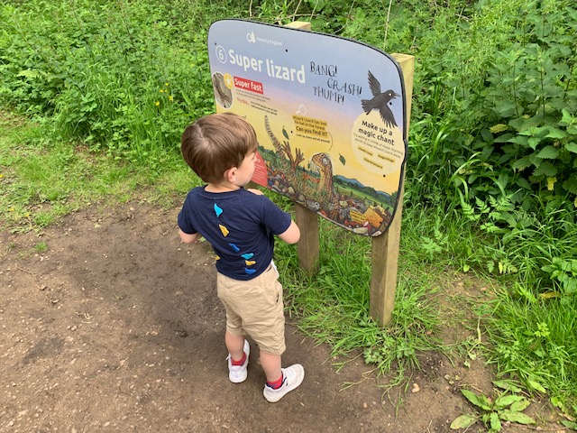 Little boy standing at an information and fact board all about lizards