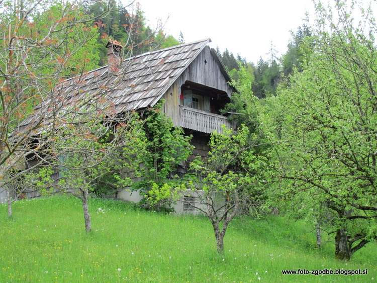 Slovenija, Gorenjska