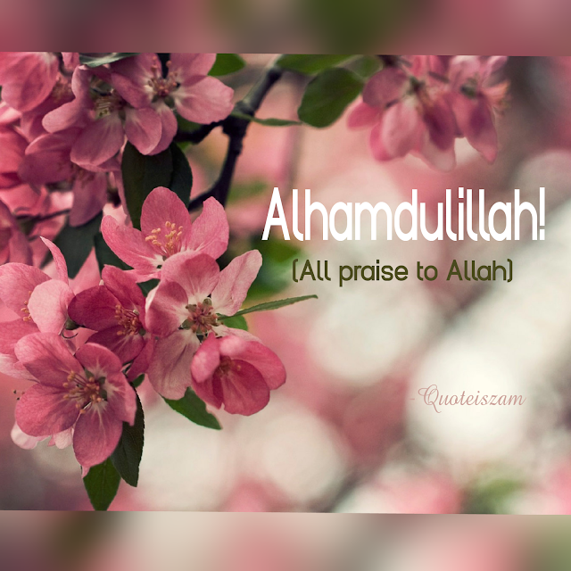 Alhamdulillah! [All praise to Allah]