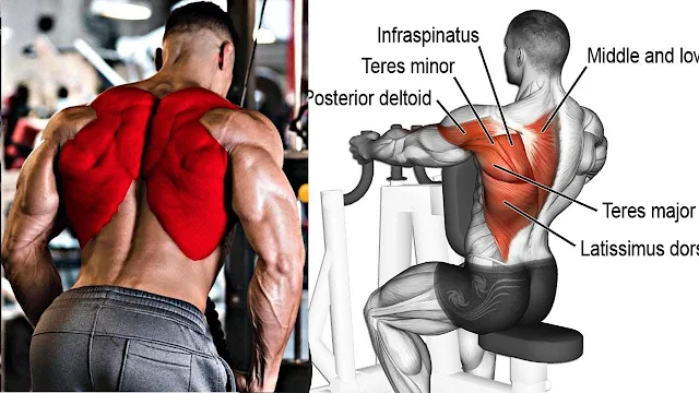 6 Best Exercises To Build Massive Back